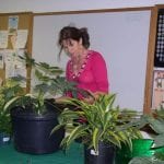 article image - 